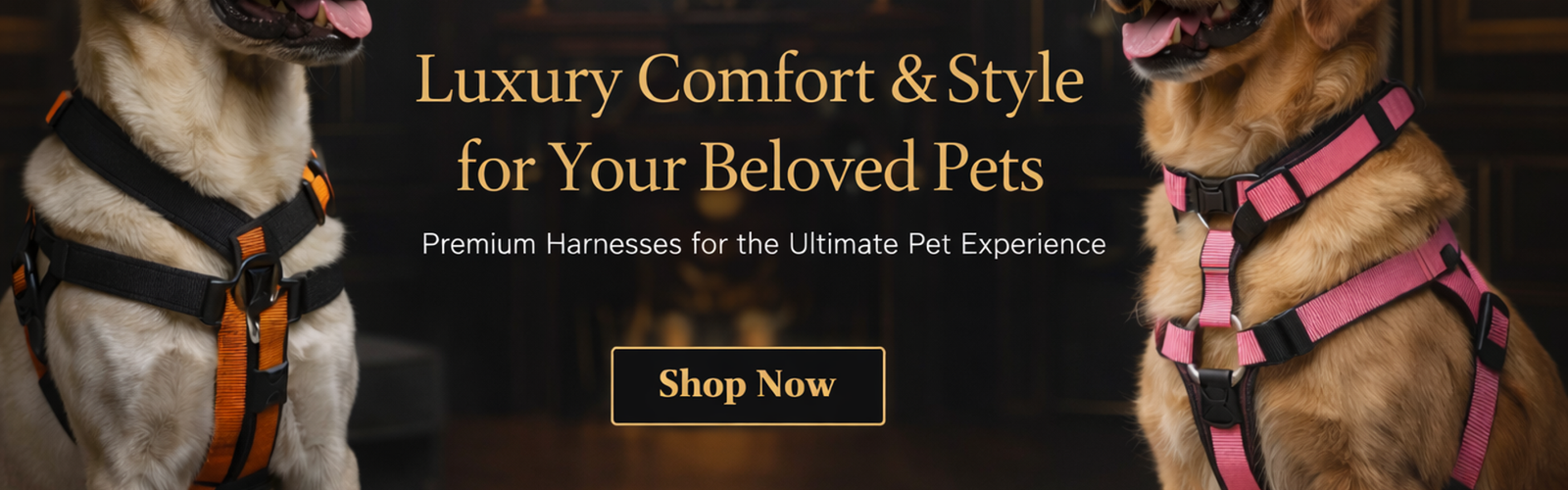 dog_harness_banner_1920x600_final